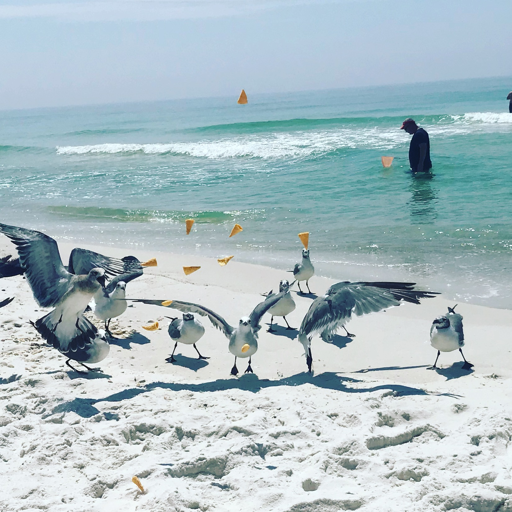 What To Do When Peer Pressure Has Caused You to Join the Flock